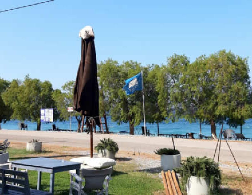 ΑΛΑΤΙ1