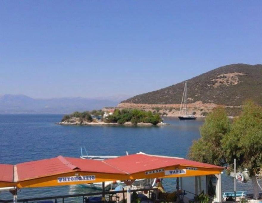 ΑΝΔΡΕΑΣ ΚΟΥΤΟΥΒΑΛΑΣ0
