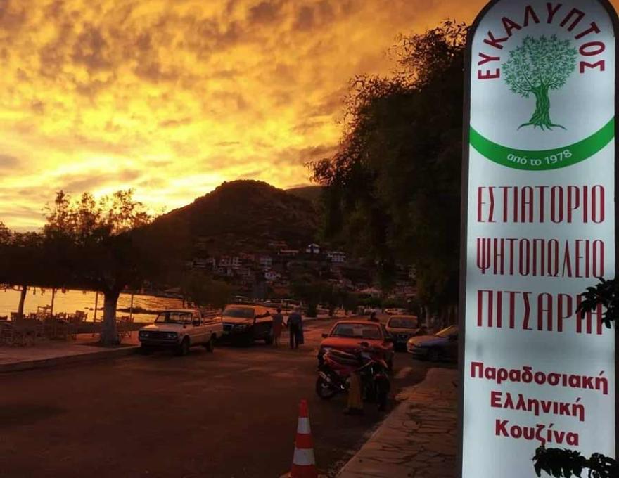 ΕΥΚΑΛΥΠΤΟΣ1