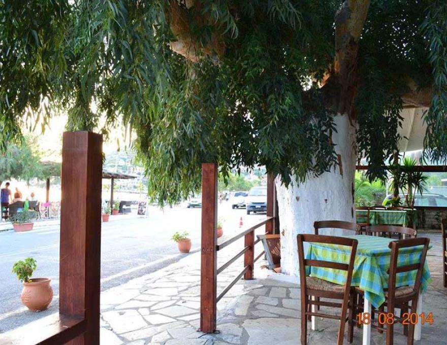 ΕΥΚΑΛΥΠΤΟΣ3