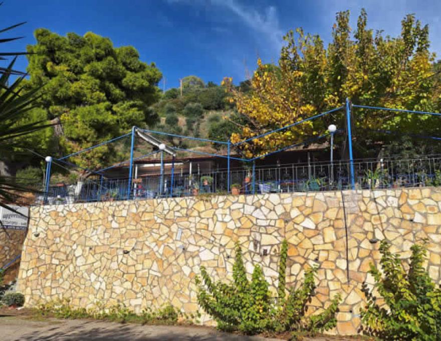 Η ΑΡΧΟΝΤΙΣΣΑ1