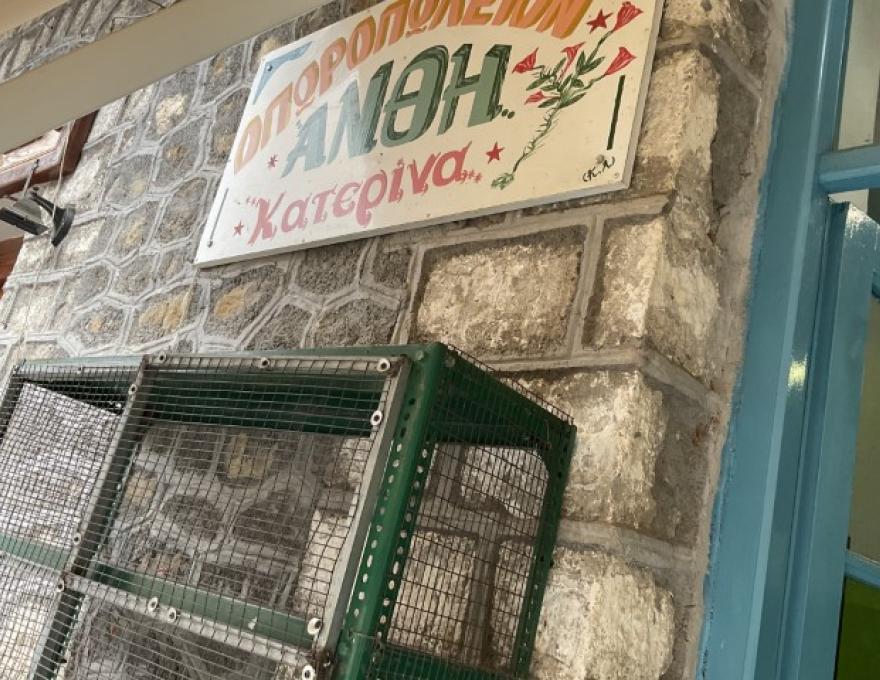 Η ΚΑΤΕΡΙΝΑ0