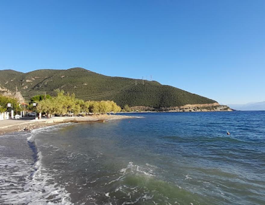 Ο ΜΟΛΟΣ2