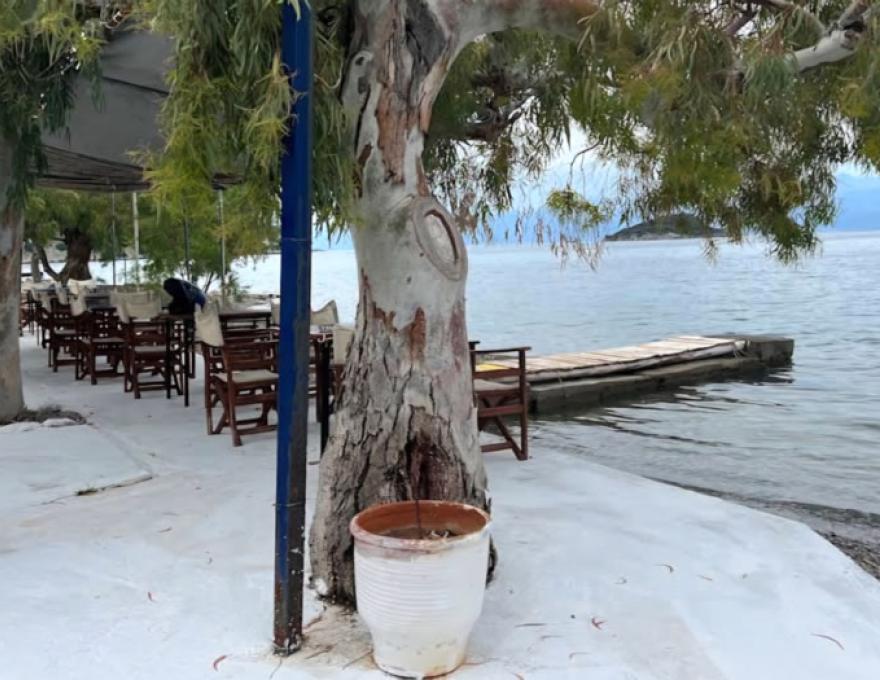 Ο ΜΟΛΟΣ0
