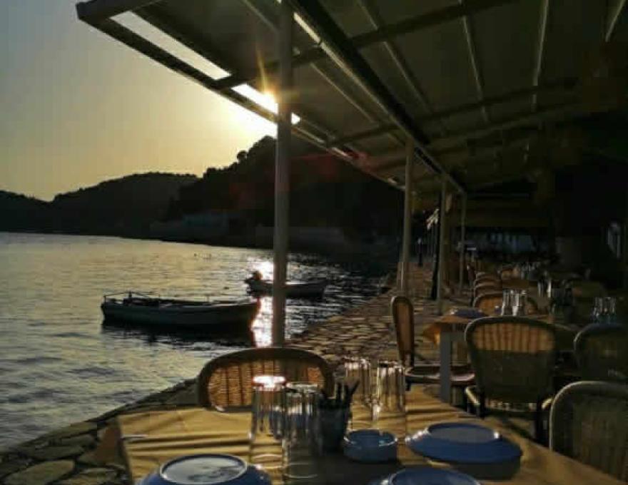 ΠΑΝΣΕΛ..ΟΙΝΟΣ4