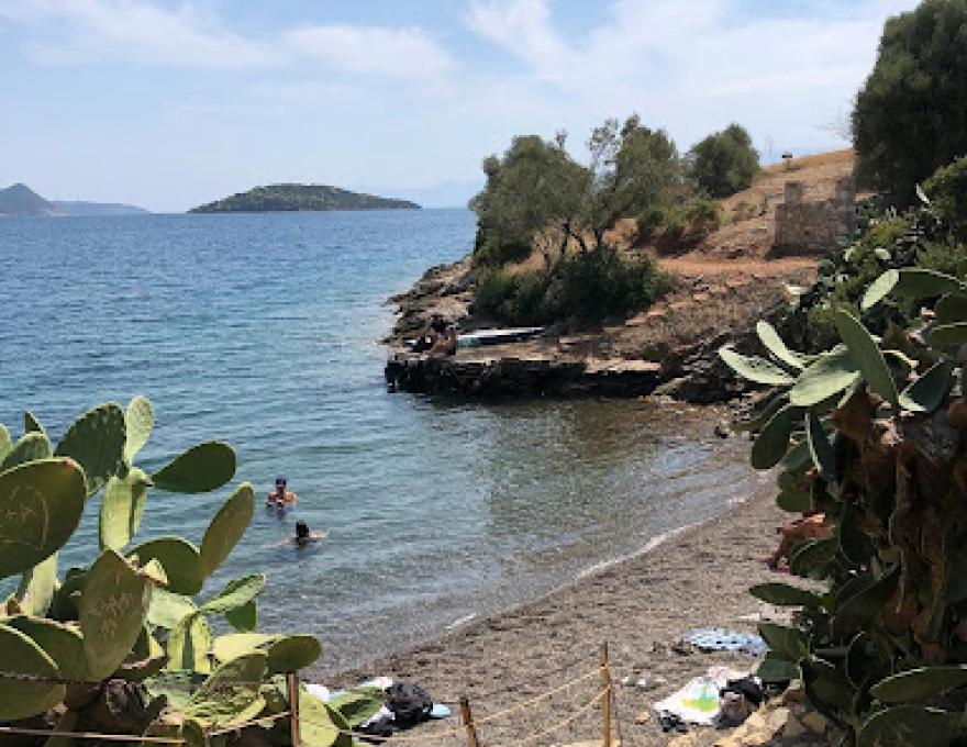 ΠΑΡΑΛΙΑ ΑΜΑΚΟΣ2