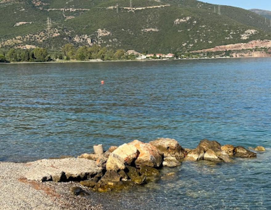 ΠΑΡΑΛΙΑ ΤΡΙΖΟΝΙΩΝ1