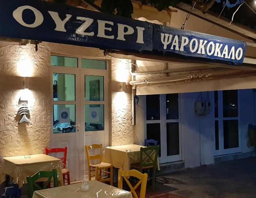 ΨΑΡΟΚΟΚΚΑΛΟ3