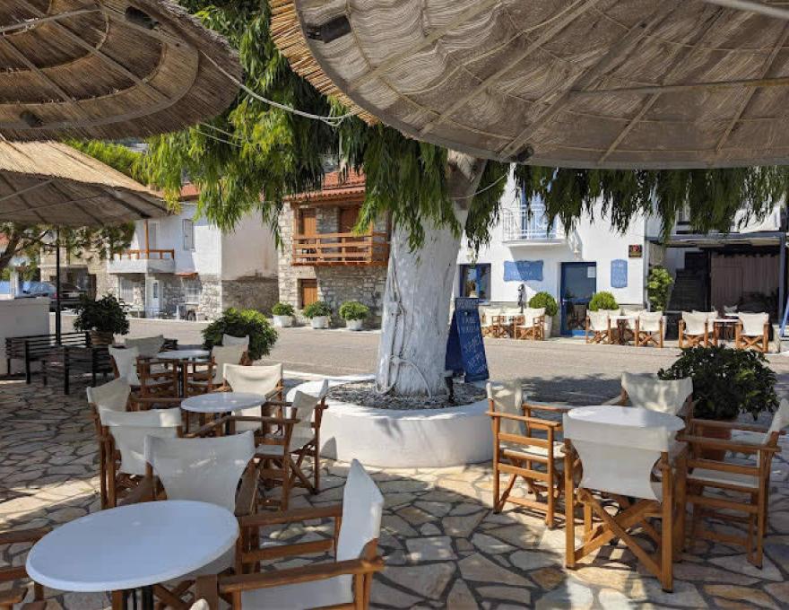 CAFE NIKOLA1