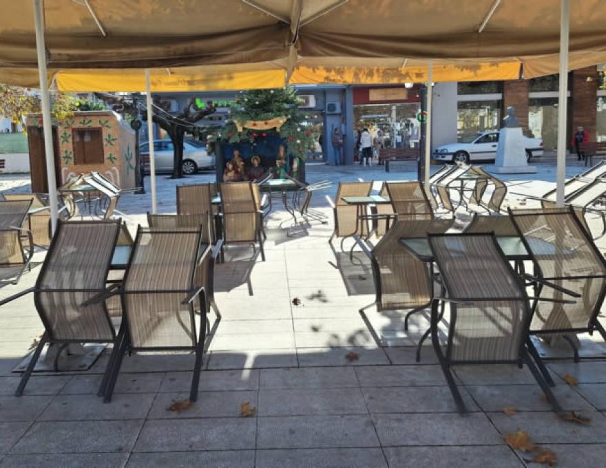 CAFE PLATANOS1