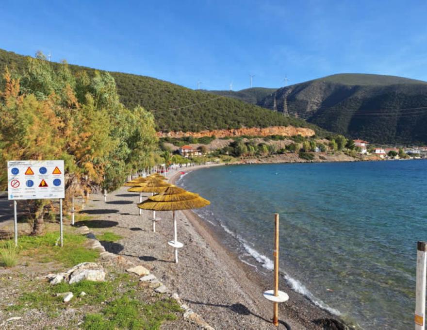 CAMORA BEACH BAR1