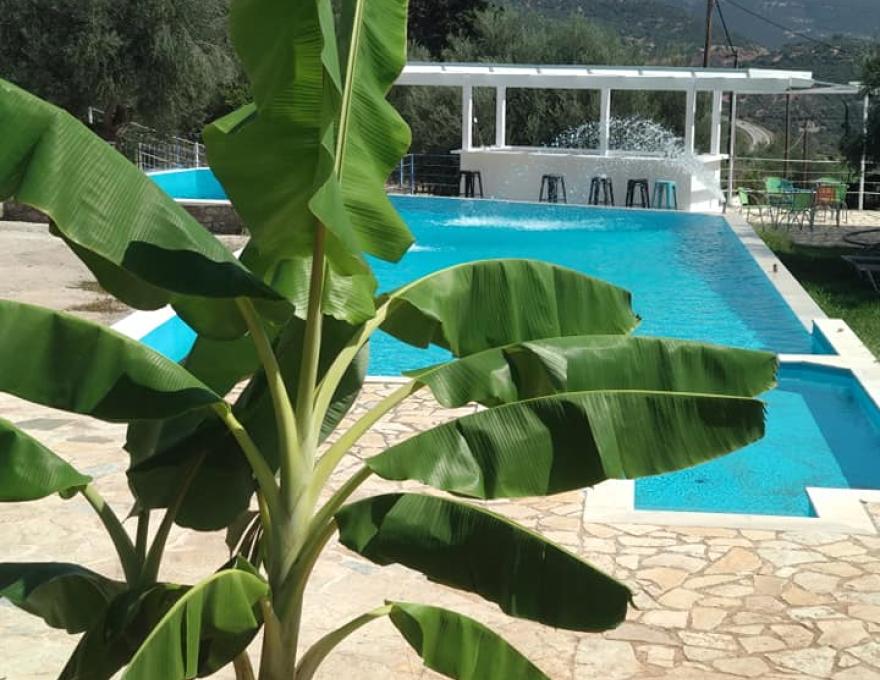 HOTEL THEASIS2