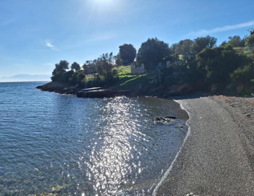 TRIZONIA BAY2
